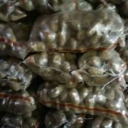 多倫土豆代收代銷與商品房代購代銷服務(wù)解析