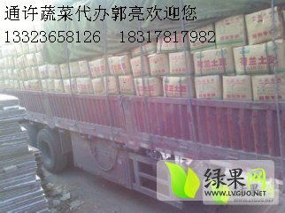 荷蘭十五克新系列土豆 貨源充足，專業(yè)代購代銷服務