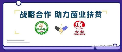 攜手古船米業(yè)，共筑貧困地區(qū)食用菌銷售與商品房代購代銷新篇章