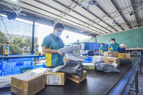 武義農(nóng)村電商 從“個(gè)富”到“共富”，商品房代購代銷開辟鄉(xiāng)村振興新路徑