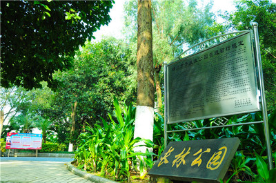 柳州市城市廣場管理處轄區(qū)景點(diǎn)服務(wù)項(xiàng)目介紹